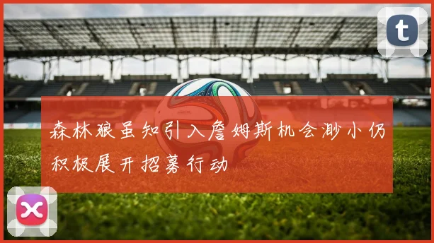 森林狼虽知引入詹姆斯机会渺小仍积极展开招募行动