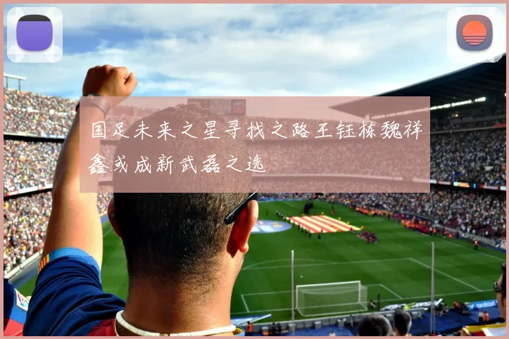 国足未来之星寻找之路王钰栋魏祥鑫或成新武磊之选
